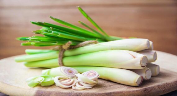 Lemongrass - Image 3