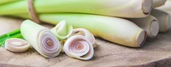 Lemongrass - Image 2